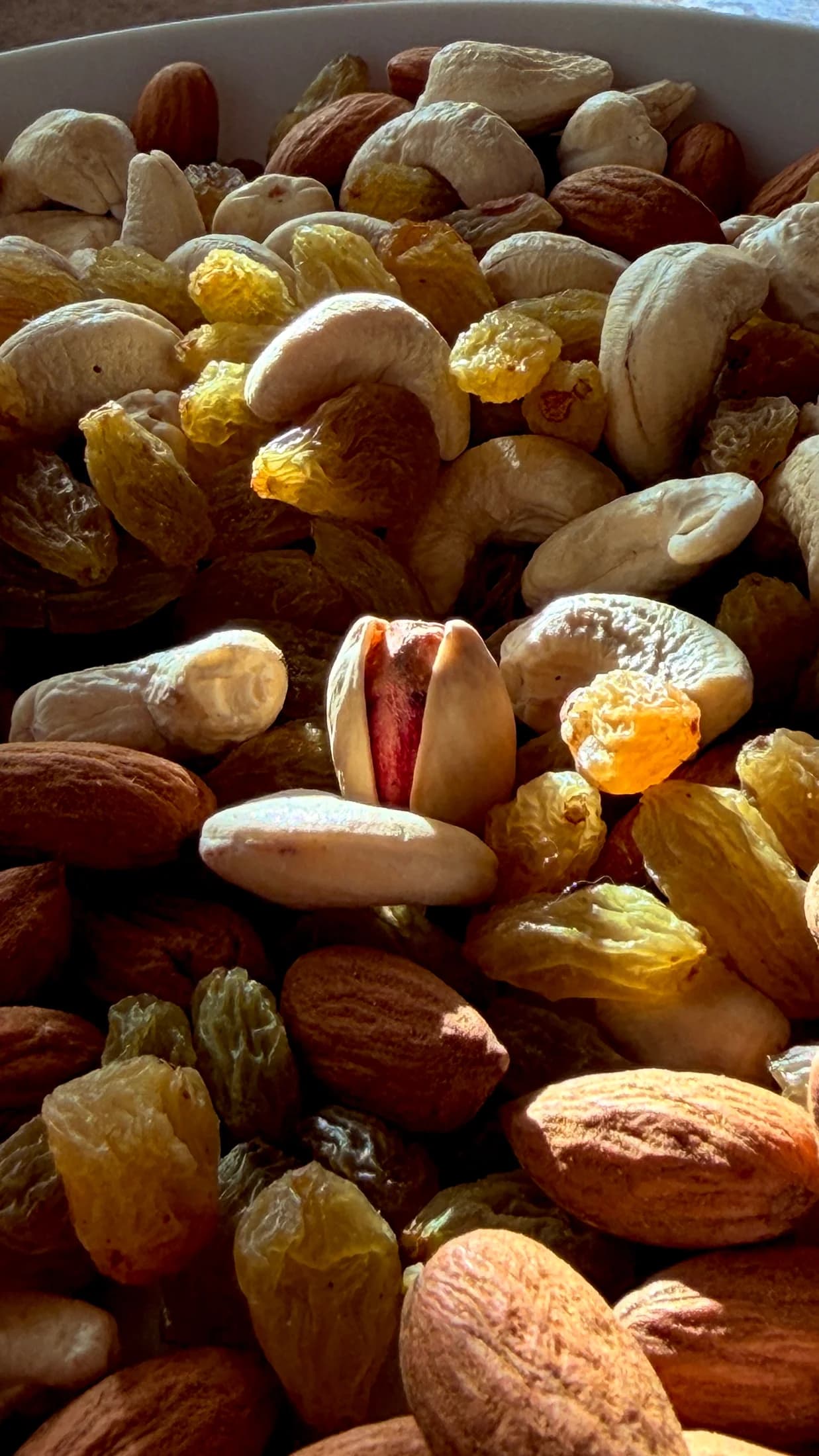 Sunlight on almonds, cashews, pistachios and raisins