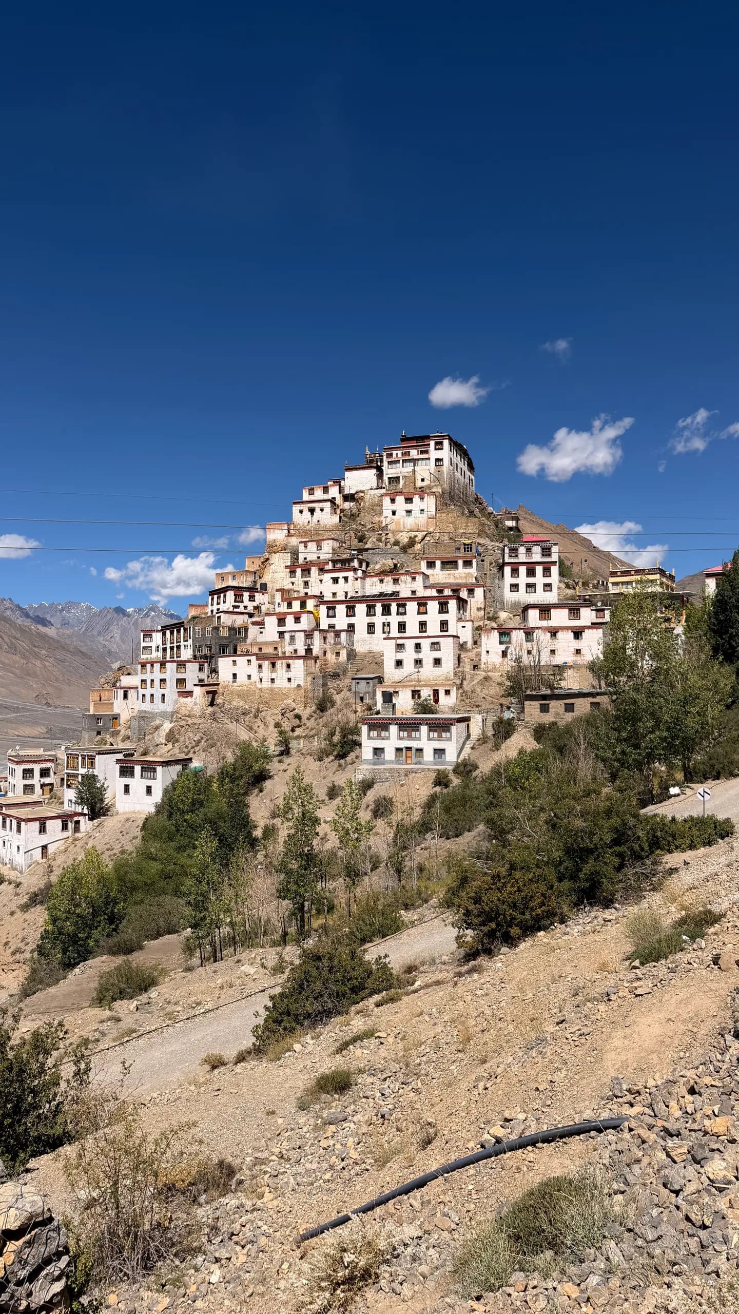 Key Monastery stacked on its hilltop beneath a deep blue Spiti sky